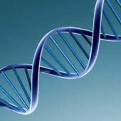 Timeline: Principales descubrimientos del ADN