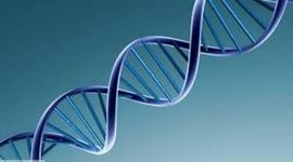 Timeline: Principales descubrimientos del ADN