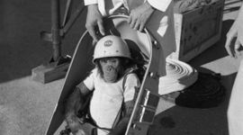 Timeline: Space Race Timeline