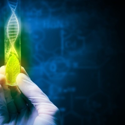 Timeline: ИСТОРИЯ РАЗВИТИЯ БИОТЕХНОЛОГИИ