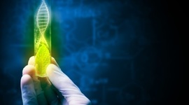 Timeline: ИСТОРИЯ РАЗВИТИЯ БИОТЕХНОЛОГИИ