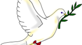 Timeline: Fundamentos de Derecho