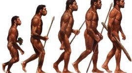 Timeline: Evolución de los homínidos