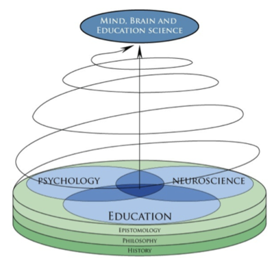 Timeline: Psychology, Neuroscience and American Curriculum Trends