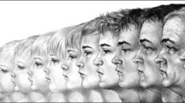 Timeline: Erikson Timeline Assignment