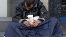 Timeline: Of Beetles and Angels