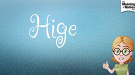 Timeline: HIGE Assessment Term 1 Timeline