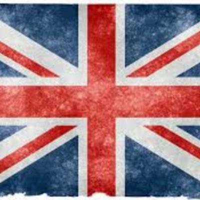 Timeline: HIGE Assessment Term 1