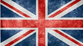 Timeline: HIGE Assessment Term 1