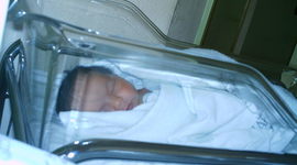 Timeline: DESDE QUE VAIG NAIXER FINS ARA