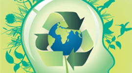 Timeline: Antecedente de la Educación Ambiental