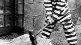 Timeline: hige assesment