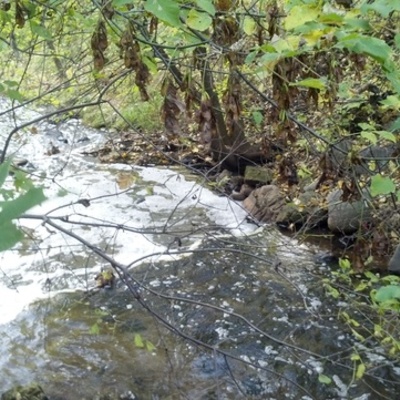 Timeline: Fear in our new Country