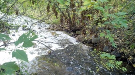 Timeline: Fear in our new Country