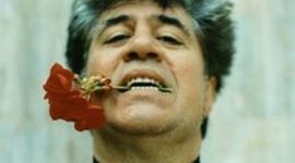 Timeline: FILMOGRAFÍA ÁLMODOVAR