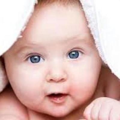 Timeline: Sendoaren bizitza