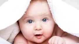 Timeline: Sendoaren bizitza