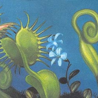 Timeline: História das Plantas