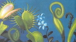 Timeline: História das Plantas