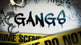 Timeline: Gangs on the Rise