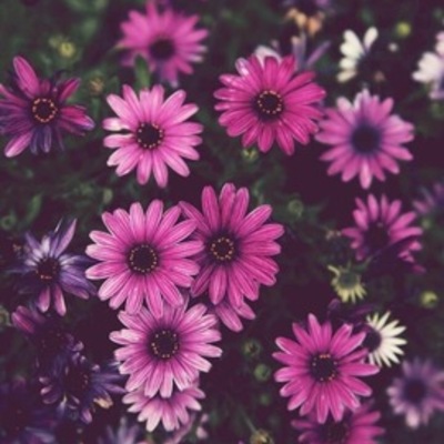 Timeline: Derechos Humanos