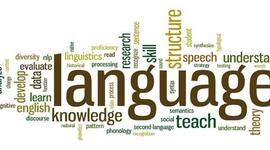 Timeline: The Skin That We Speak Timeline