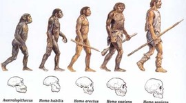 Timeline: Linha do Tempo