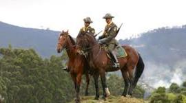 Timeline: Linea de tiempo seguridad rural