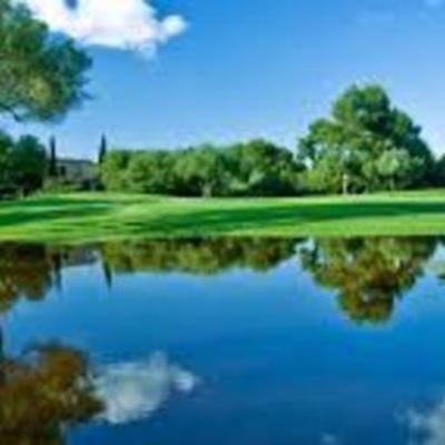 Timeline: Environmental changes