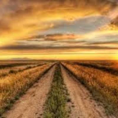 Timeline: The Highway of Opportunity