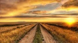 Timeline: The Highway of Opportunity