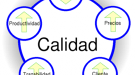 Timeline: EVOLUCIÓN DE LA CALIDAD