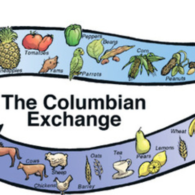 Timeline: The Plants involved in the Colombian Exchange.