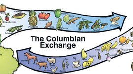Timeline: The Plants involved in the Colombian Exchange.