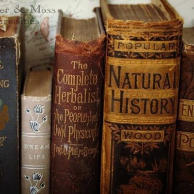 Timeline: HIGE Assessment