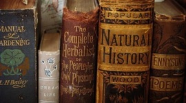 Timeline: HIGE Assessment