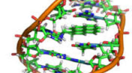Timeline: Principales descubrimientos del ADN