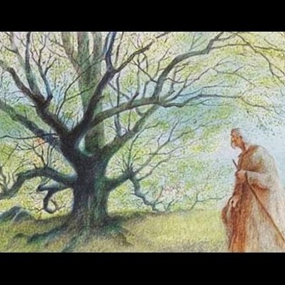 Timeline: l'Homme qui Plantait des Arbres