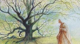 Timeline: l'Homme qui Plantait des Arbres