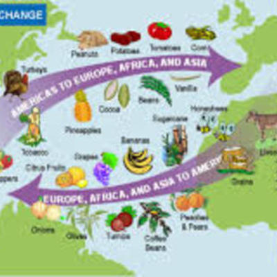 Timeline: Plants traded in the Columbain Exchange