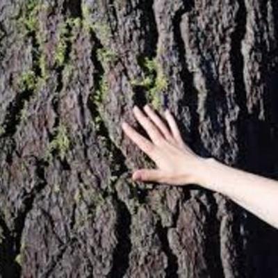 Timeline: Educación Ambiental en el tiempo