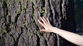 Timeline: Educación Ambiental en el tiempo