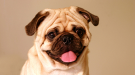 Timeline: U.S History Timeline