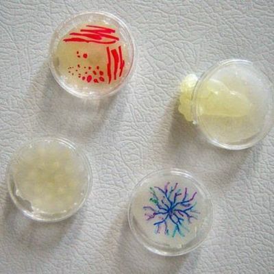 Timeline: Historia de la microbiología