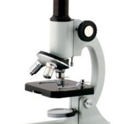 Timeline: Descubrimientos científicos