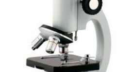 Timeline: Descubrimientos científicos