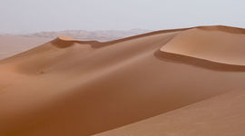 Timeline: Just Deserts