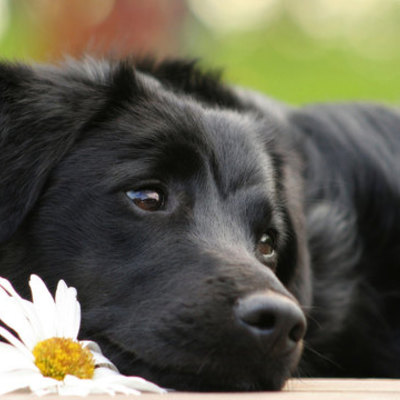 Timeline: Праздники