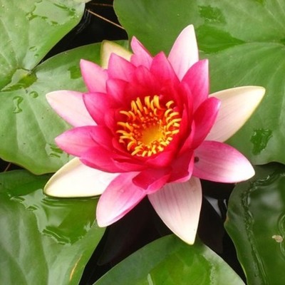 Timeline: Праздники