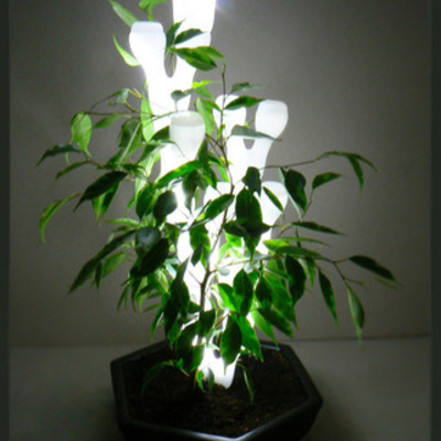 Timeline: Mi Linea del Tiempo